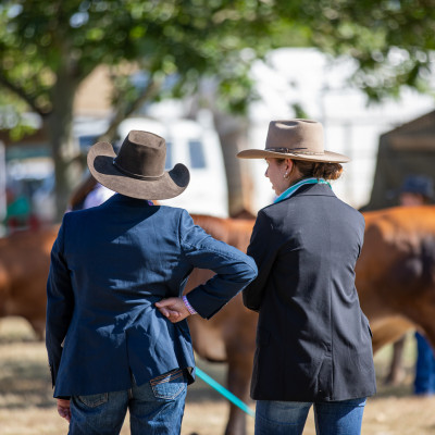 Droughtmaster Futurity srcset=