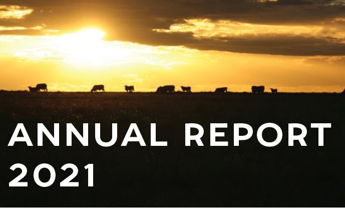 Annual Report Image 21