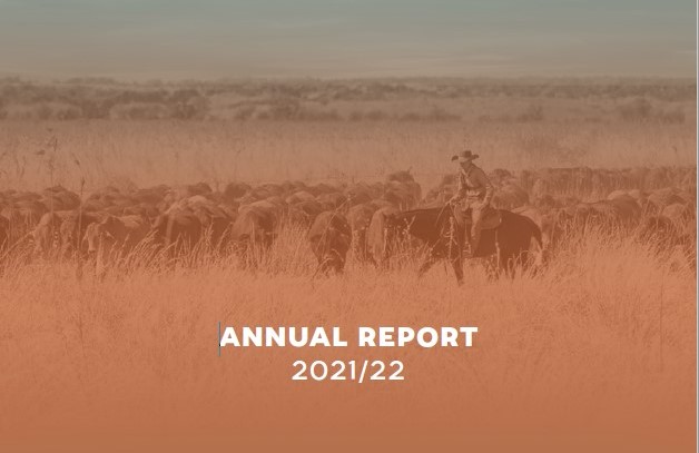 Annual report cover