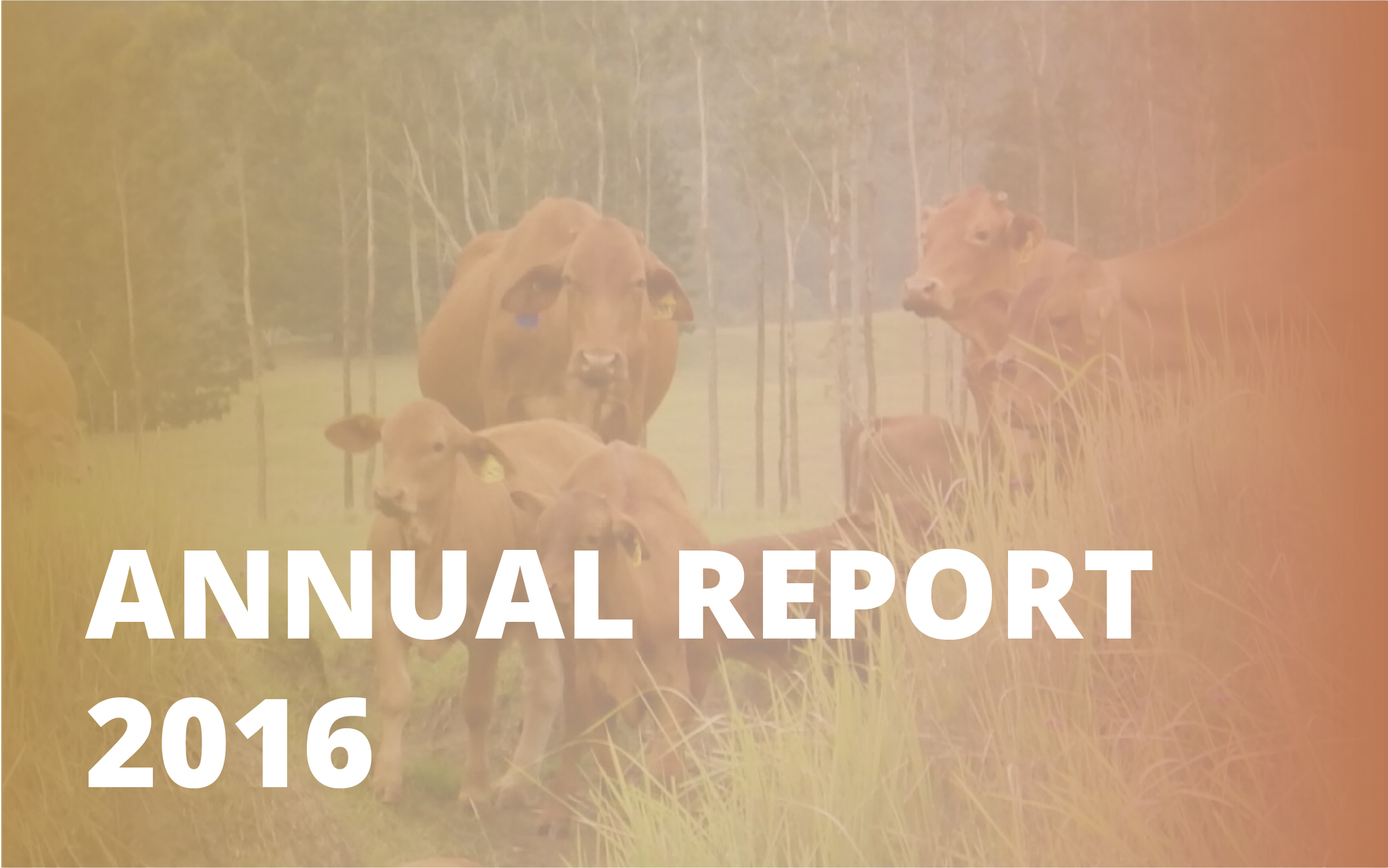 Annual report_2016