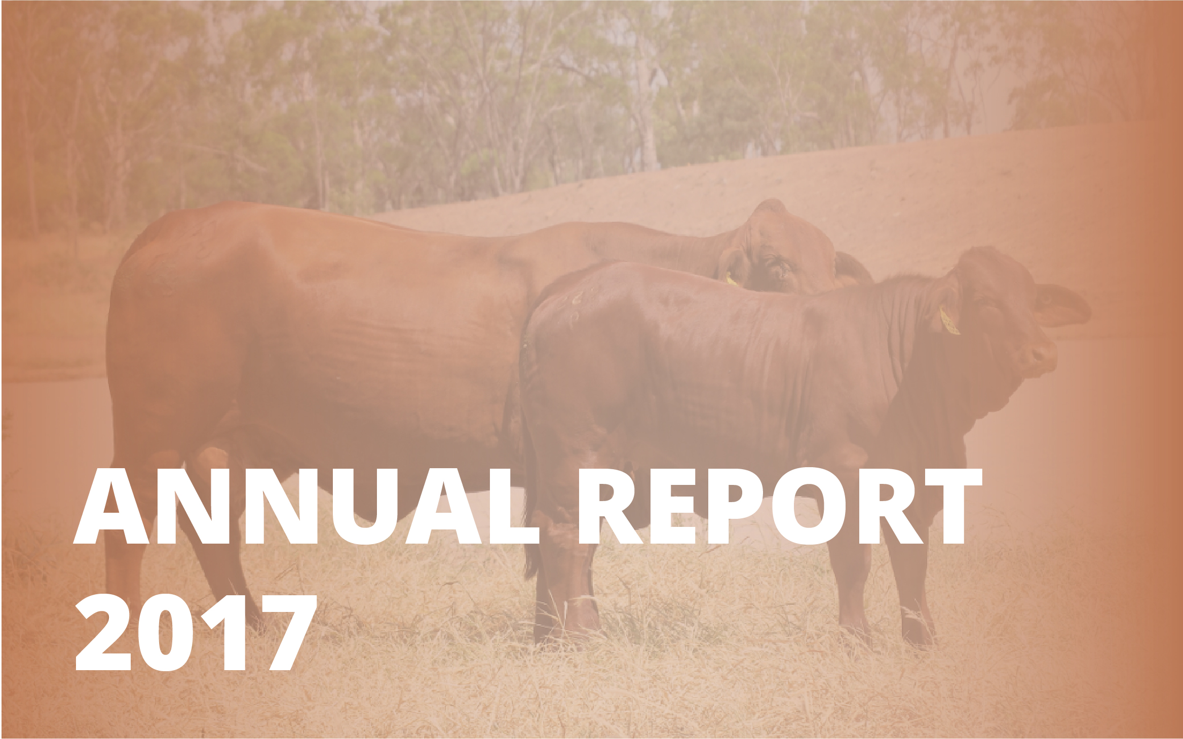 Annual report_2017