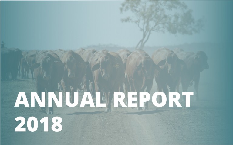 Annual report_2018