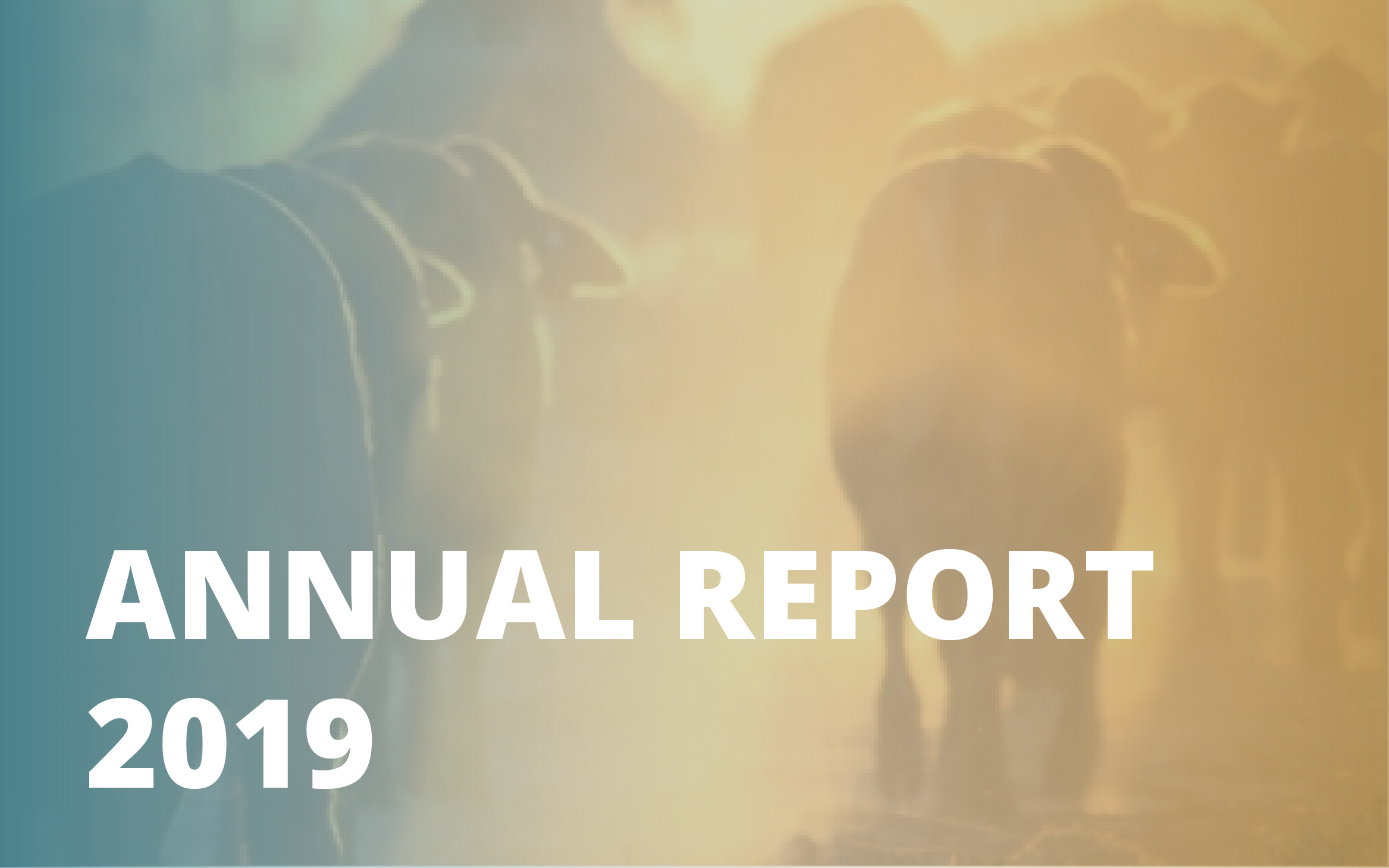 Annual report_2019