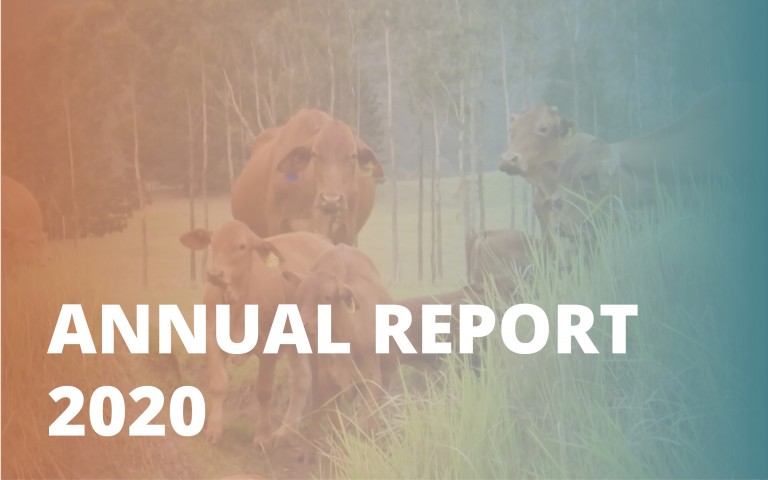 Annual report_2020