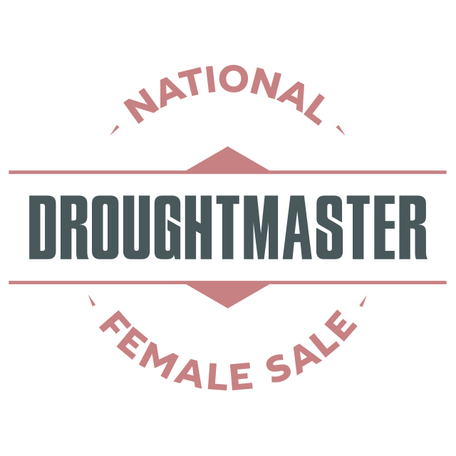 national droughtmaster female sale logo