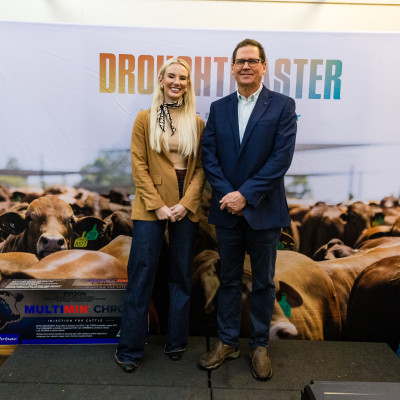 Droughtmaster Feature Show 2025 srcset=
