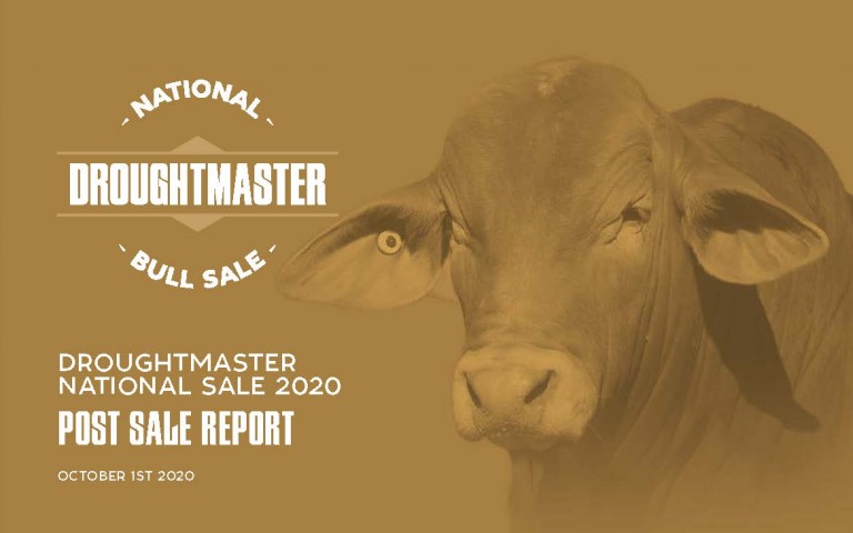 Droughtmaster National Bull Report Front Cover_Page_01