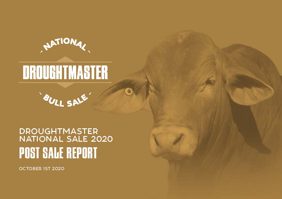 Droughtmaster National Bull Report Front Cover_Page_01