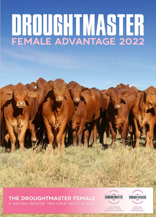 Female Advantage Publication QCl