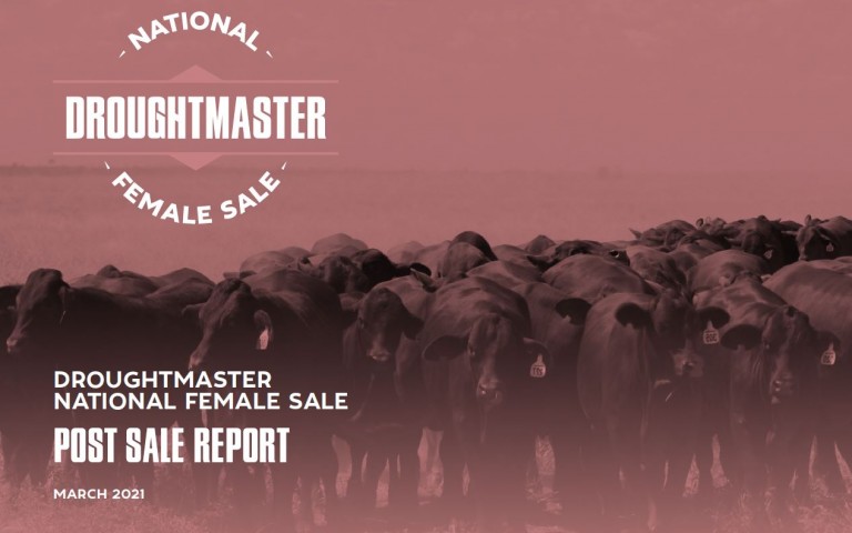 Female Sale Post Report Front Page Image 21