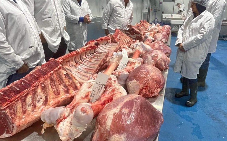 NBPE Signature OnFarm hosted the vendors to see a comprehensive breakdown of selected carcasses
