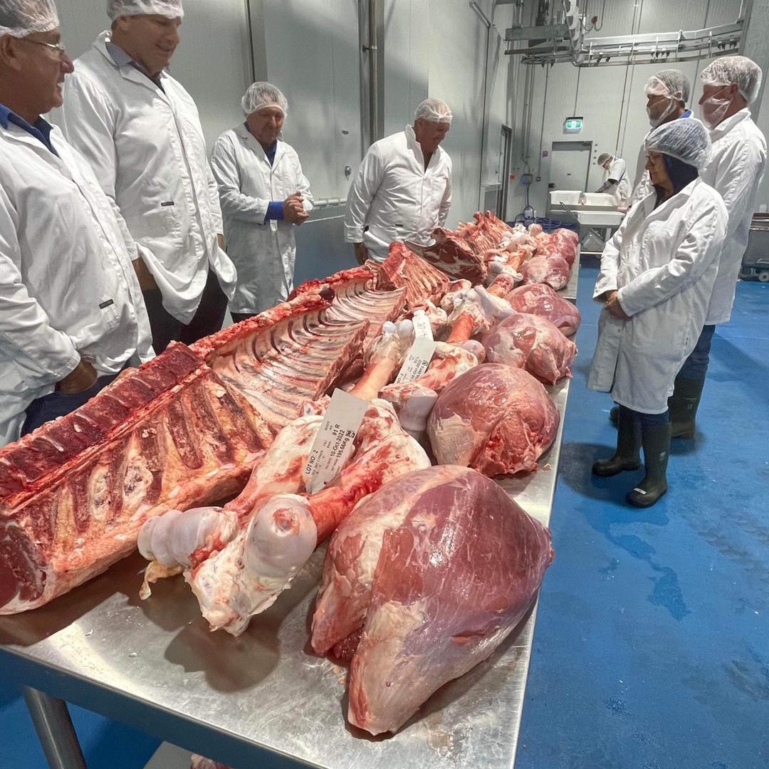 NBPE Signature OnFarm hosted the vendors to see a comprehensive breakdown of selected carcasses
