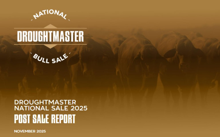 NBS Post Sale Report