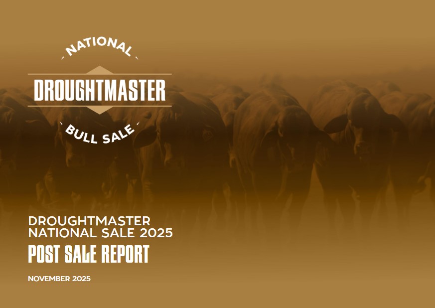 NBS Post Sale Report