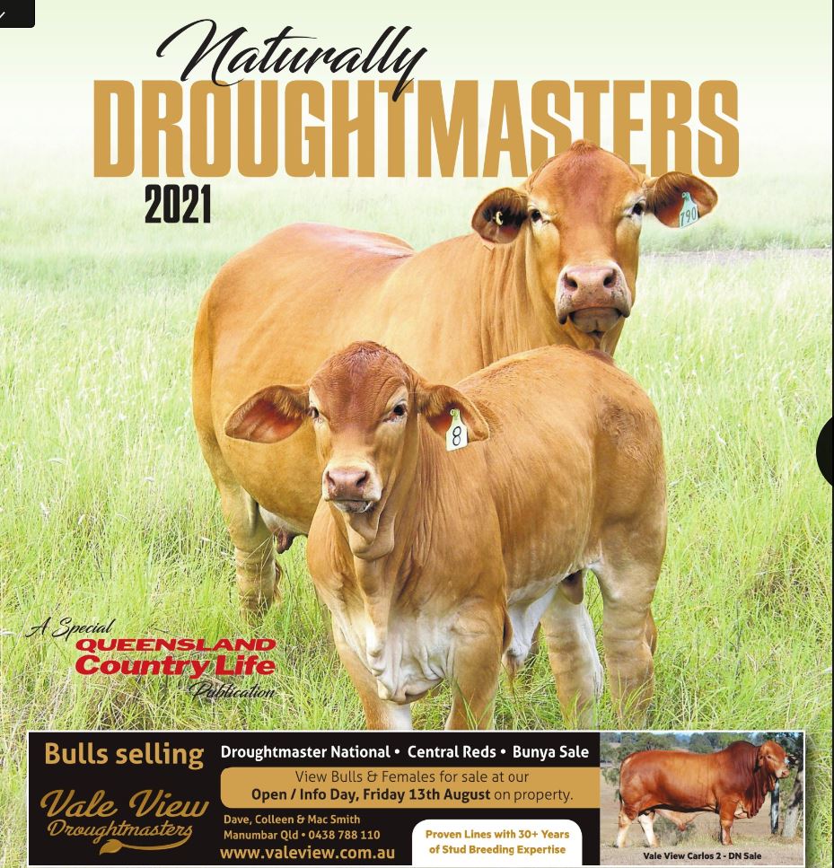 Naturally Droughtmaster 2021