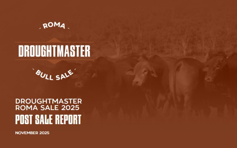 RBS Post Sale Report