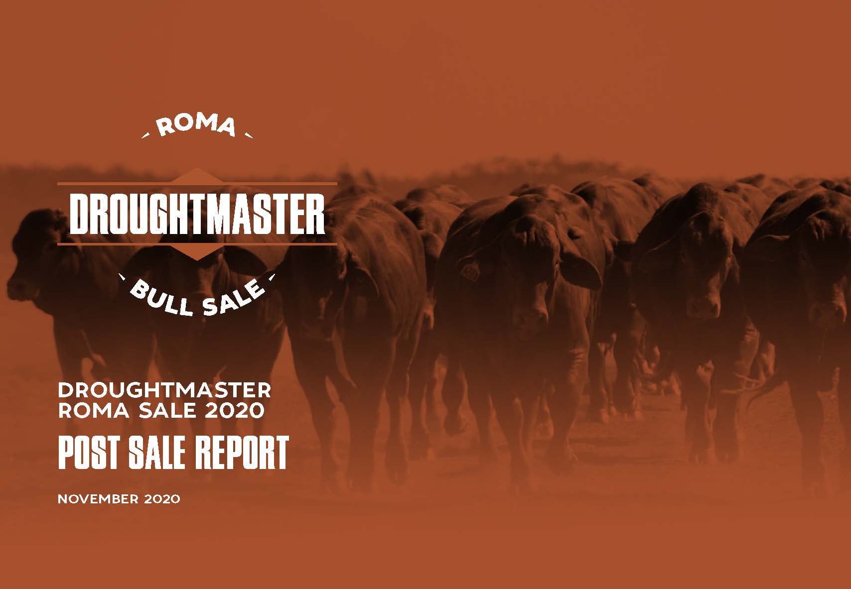 Roma Bull Sale Front cover