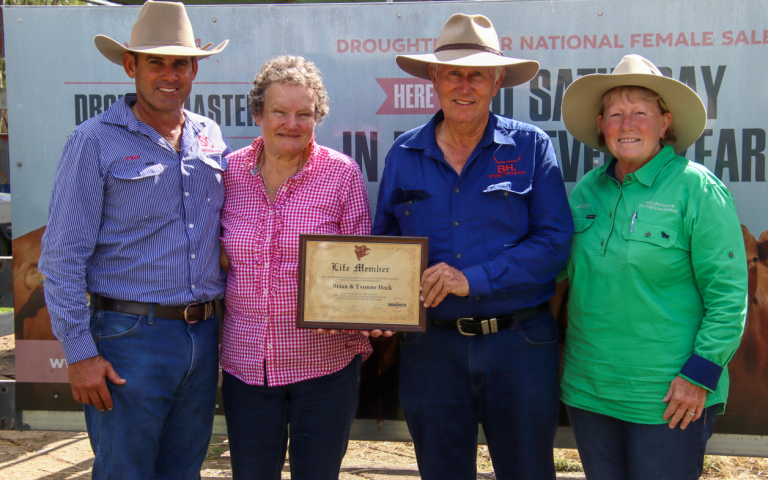 Yvonne and Brian Heck from Bryvonlea Droughtmaster Stud receiving their Life Membership at the Droughtmaster National Female Sale, presented by Steven Farmer, Droughtmaster Australia President, and Brownyn Betts, Director South East Zone.