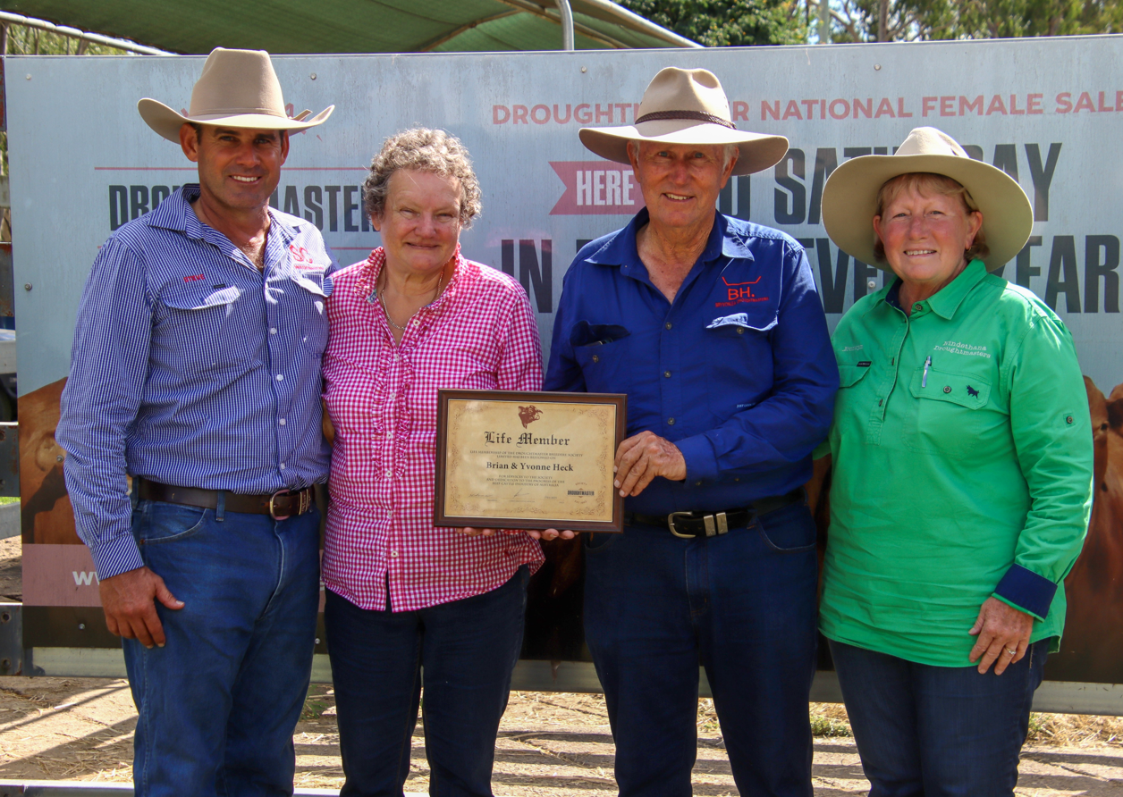 Yvonne and Brian Heck from Bryvonlea Droughtmaster Stud receiving their Life Membership at the Droughtmaster National Female Sale, presented by Steven Farmer, Droughtmaster Australia President, and Brownyn Betts, Director South East Zone.