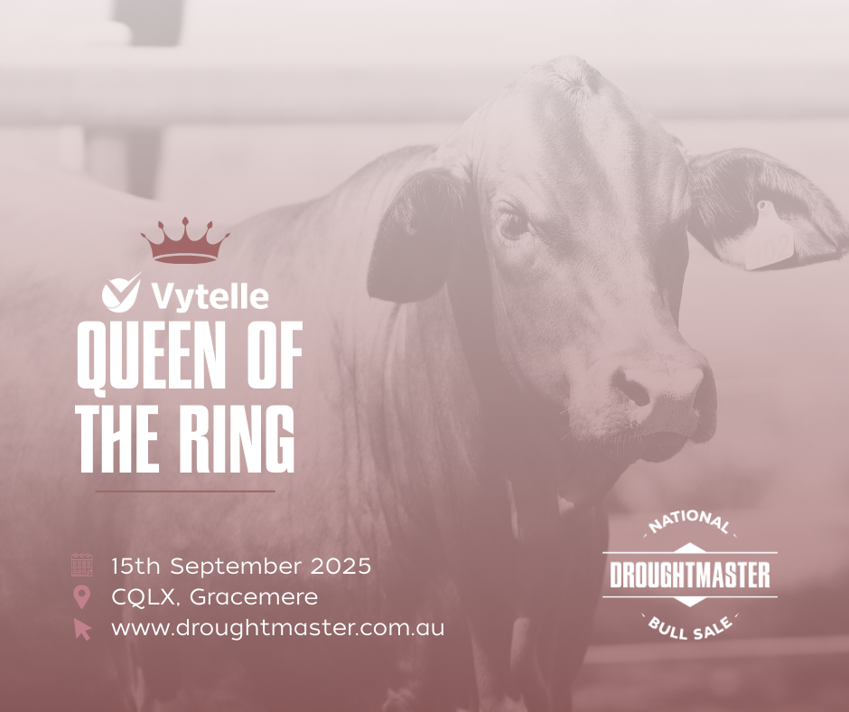Vytelle Queen of the Ring Announcement - Facebook Post